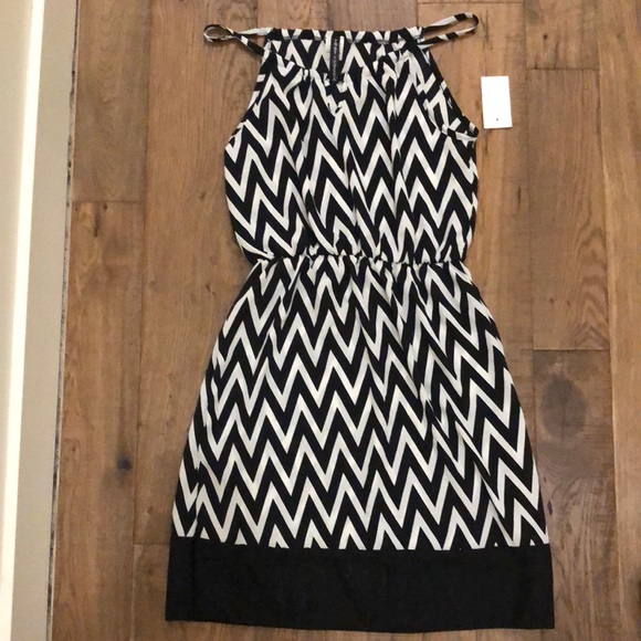 Gingy & Cocoa - Picture 1 of 3